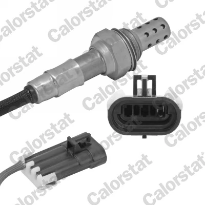 Oxygen Sensor